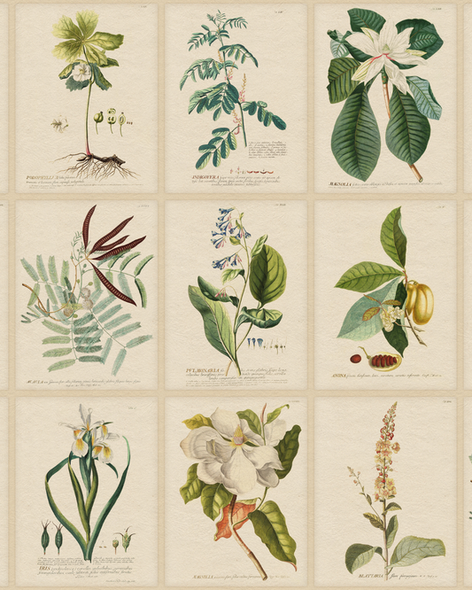 Flora Mural, Green