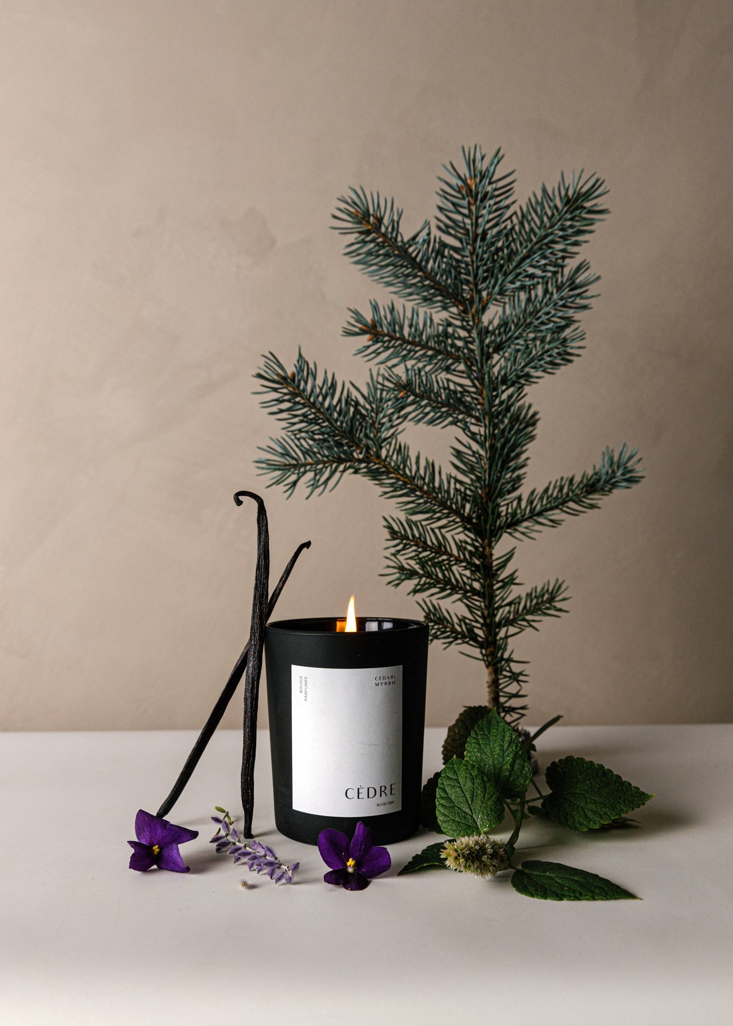 Bougie Parfumée Cèdre