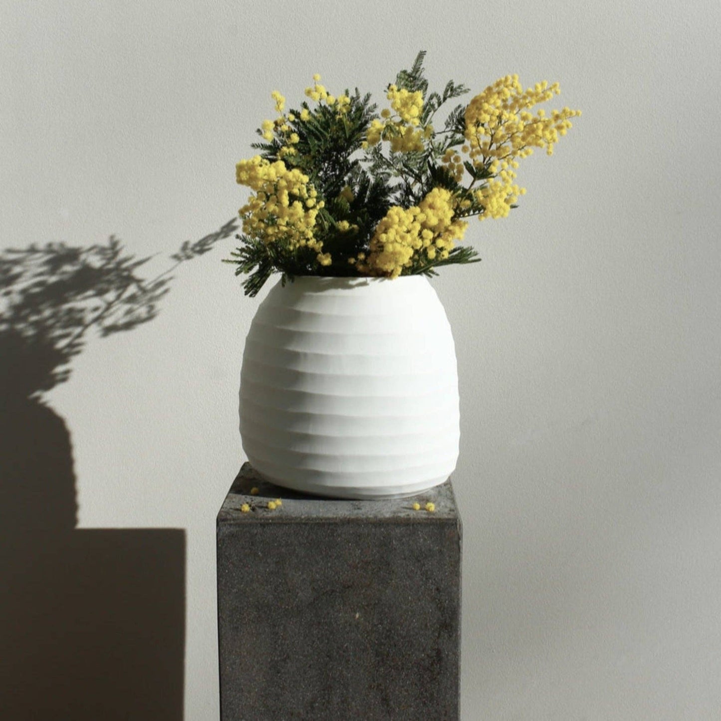 Organic Vase 02 - Opal White