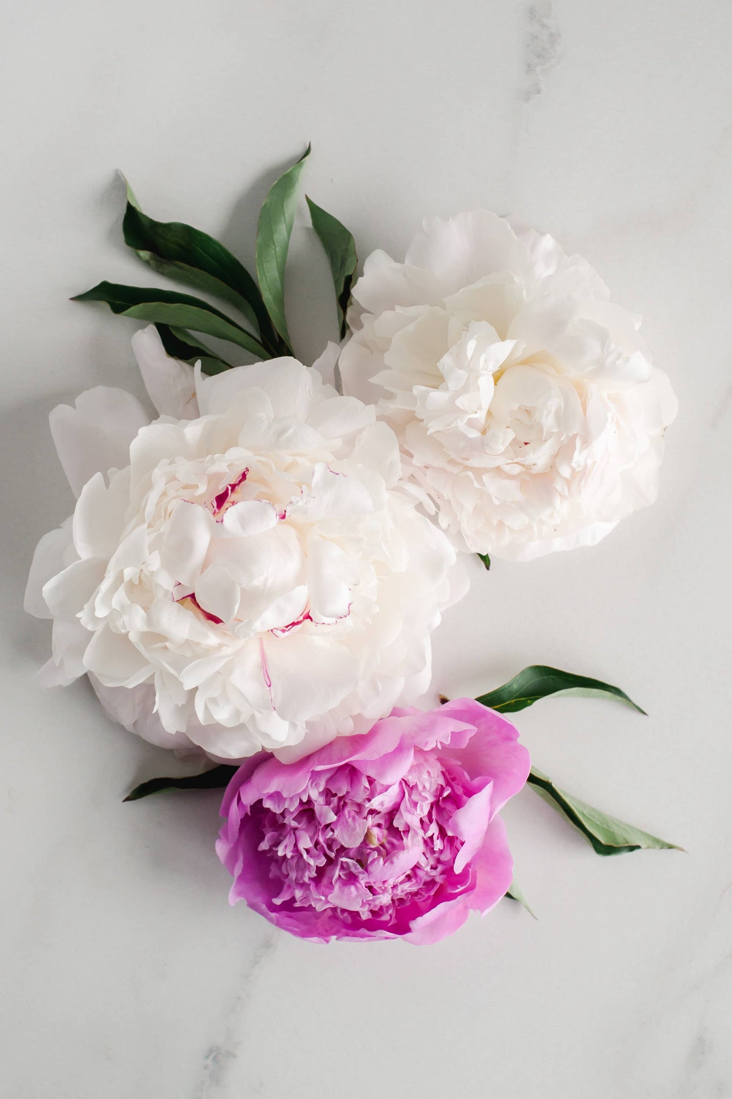 Vintage Peony Soap - Bath Bar