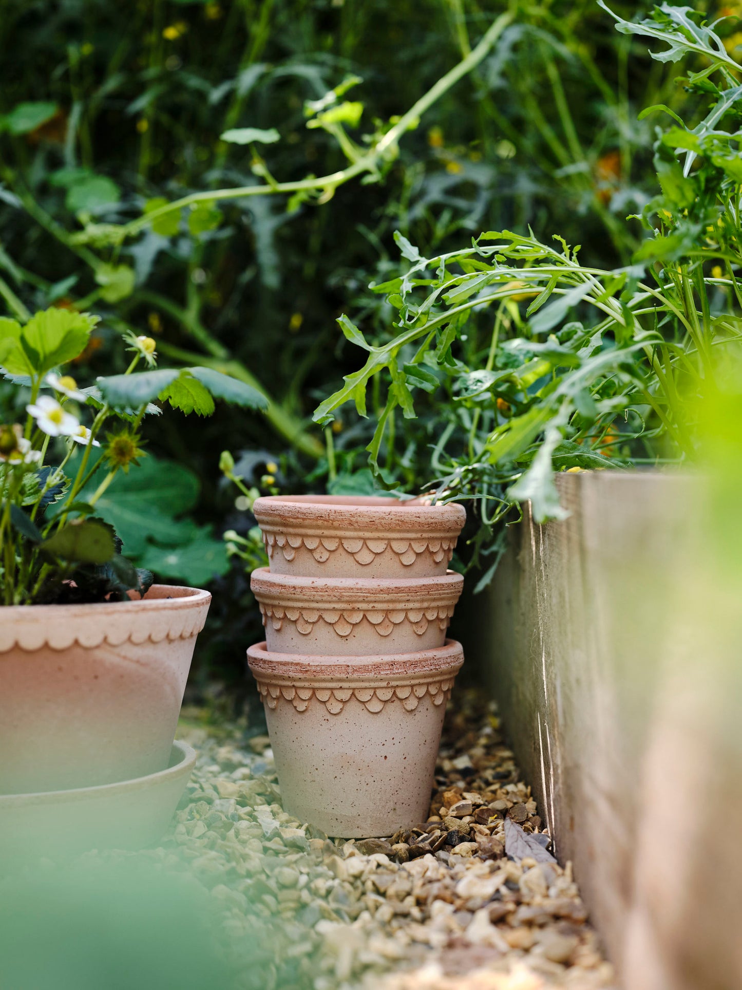 Helena Pot