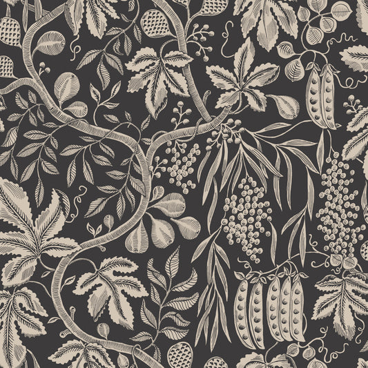 Fig Garden, Charcoal