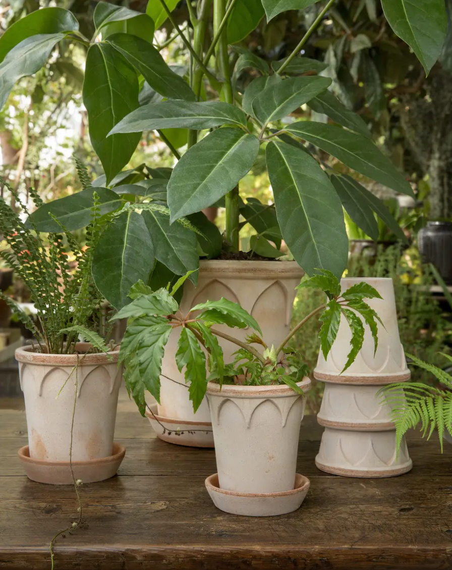 Elizabeth Pot