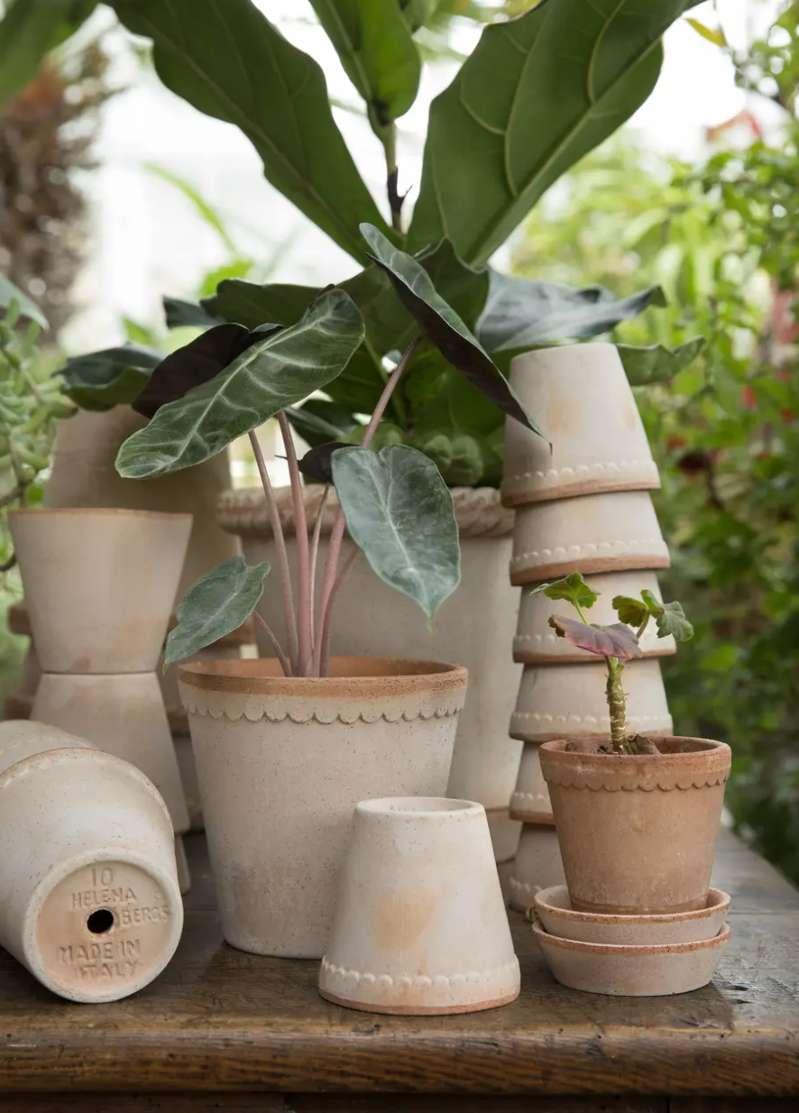 Helena Pot