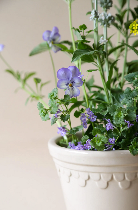 Københavner Pot - Glazed