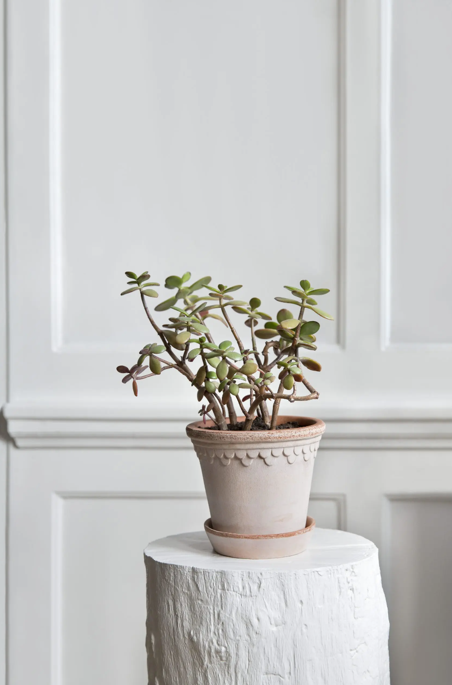 Københavner Pot