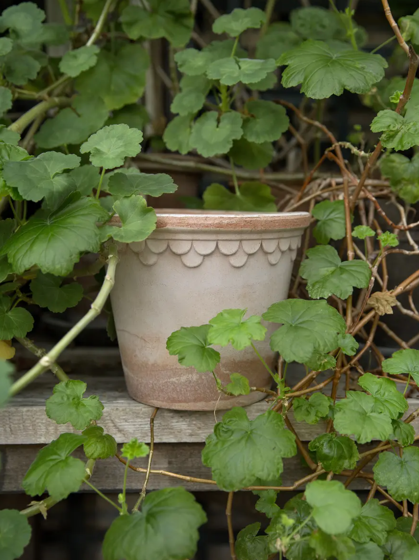 Københavner Pot