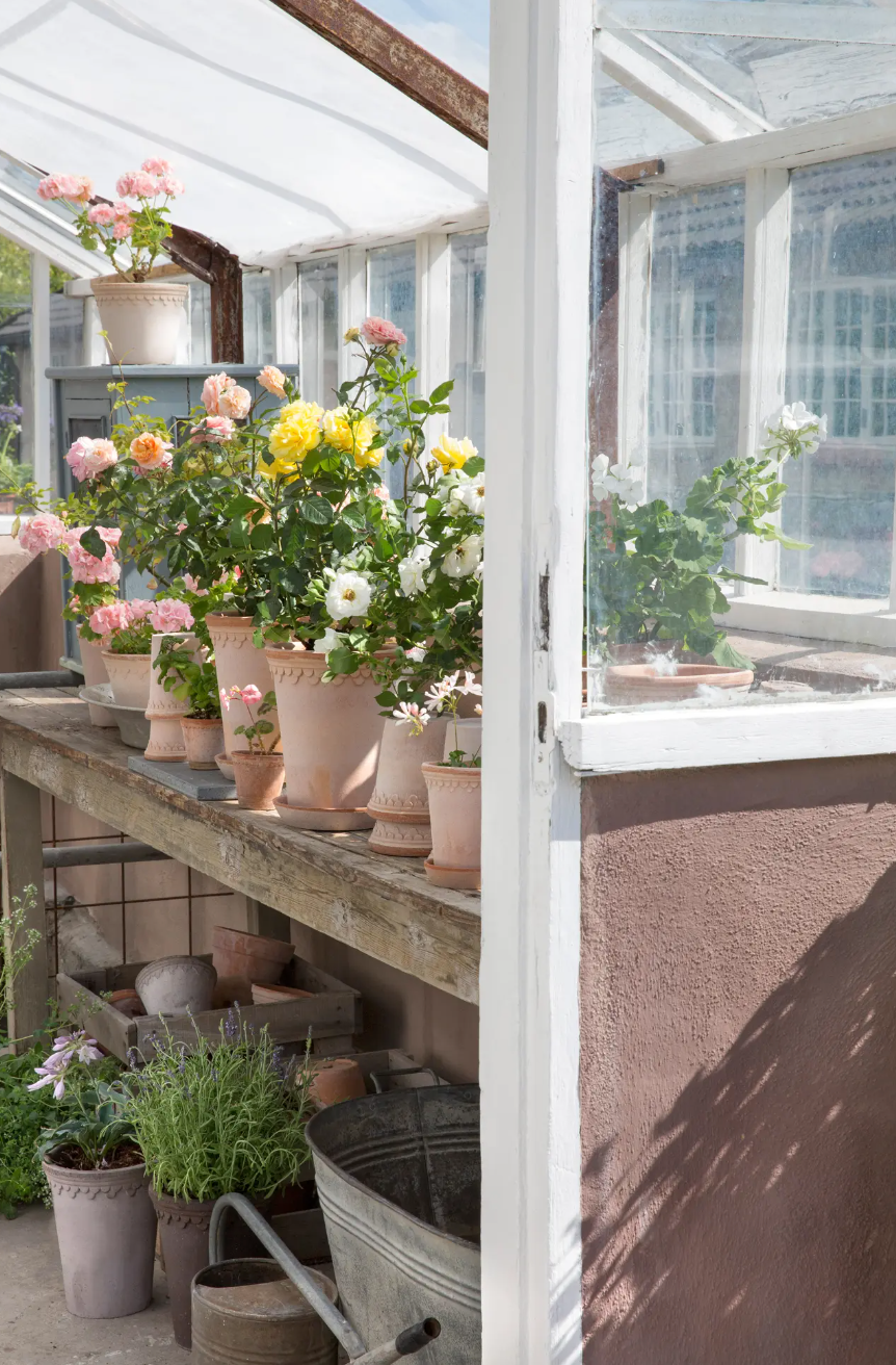 Københavner Pot