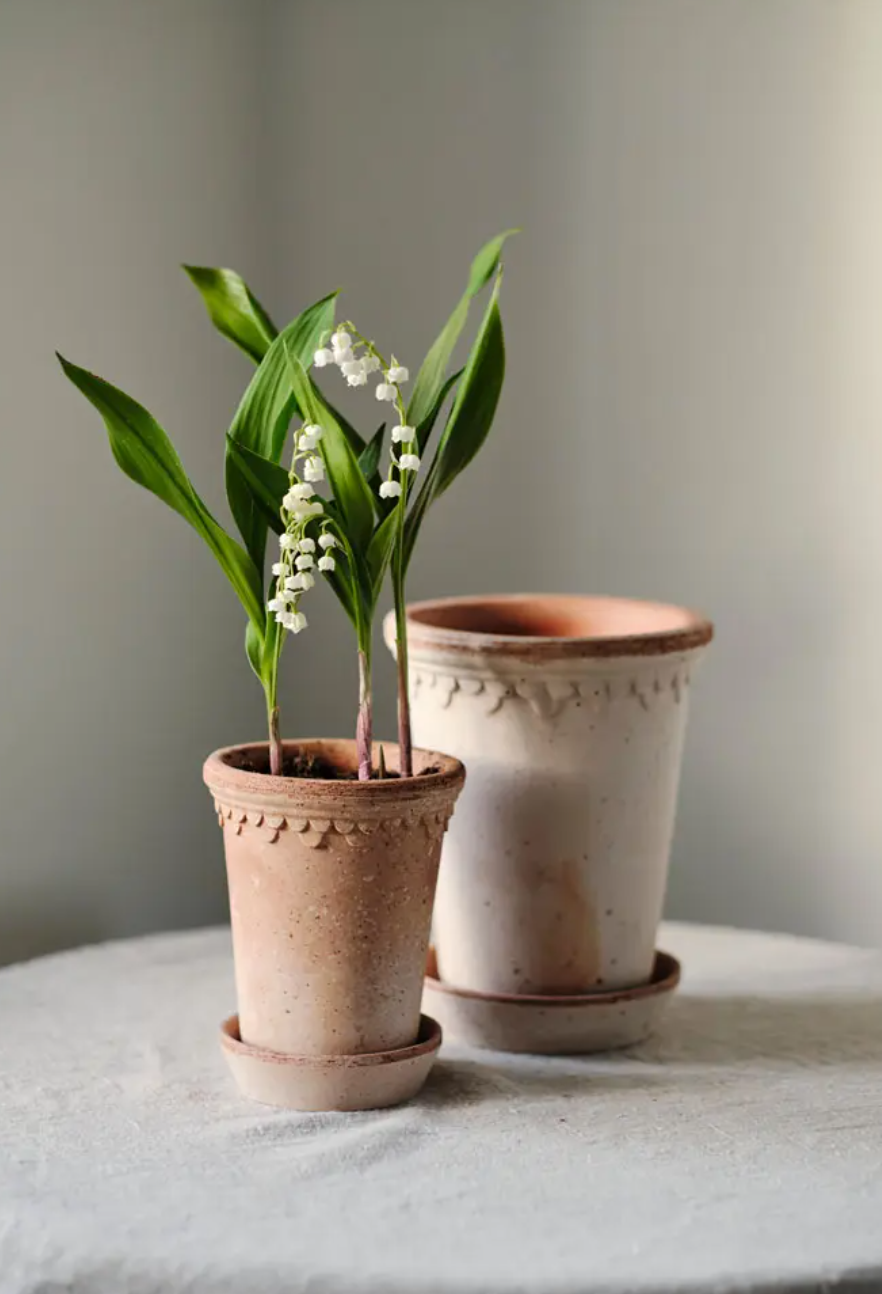Københavner Pot