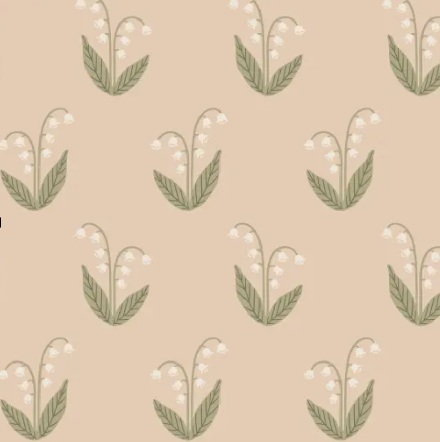 Lily, Blush
