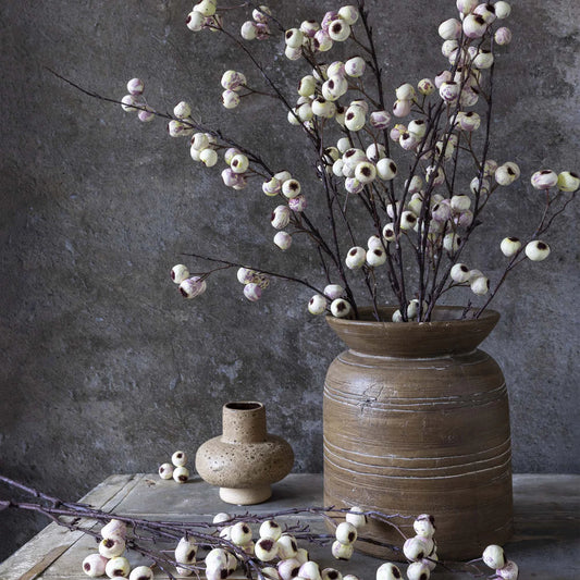 Hawthorn Branch - Cream