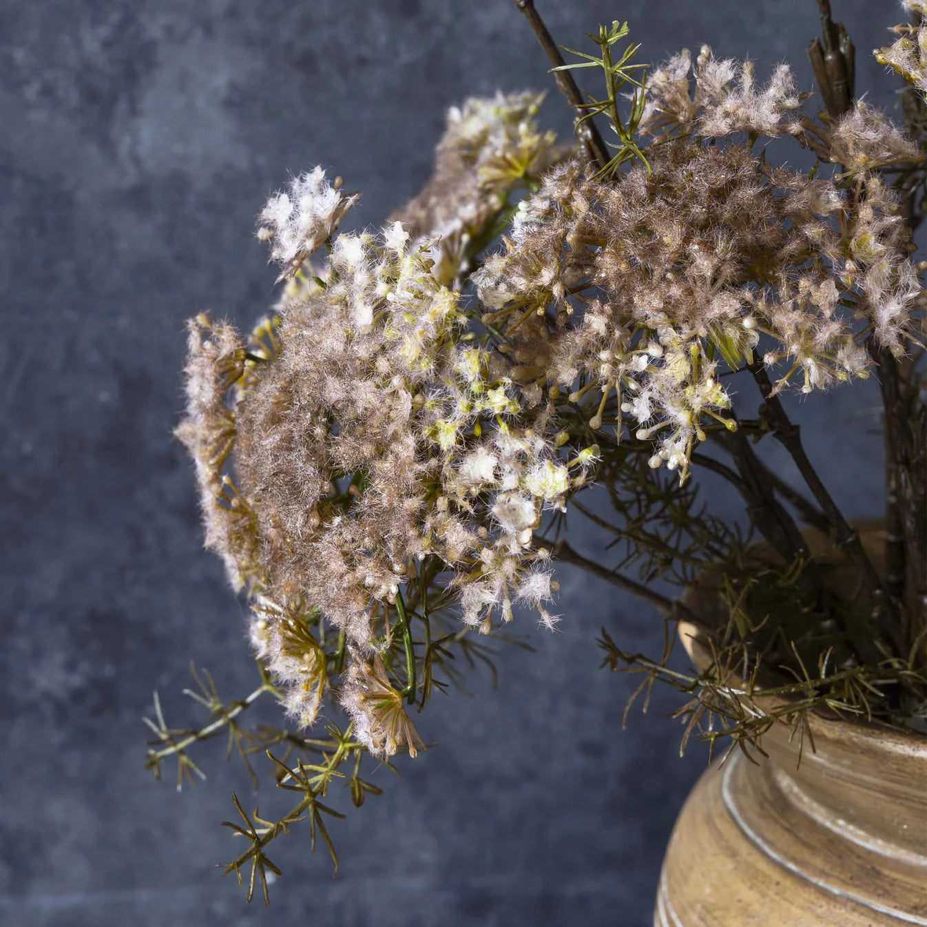 Queen Anne's Blush Lace stem