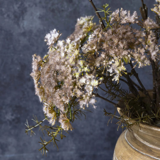 Queen Anne's Blush Lace stem
