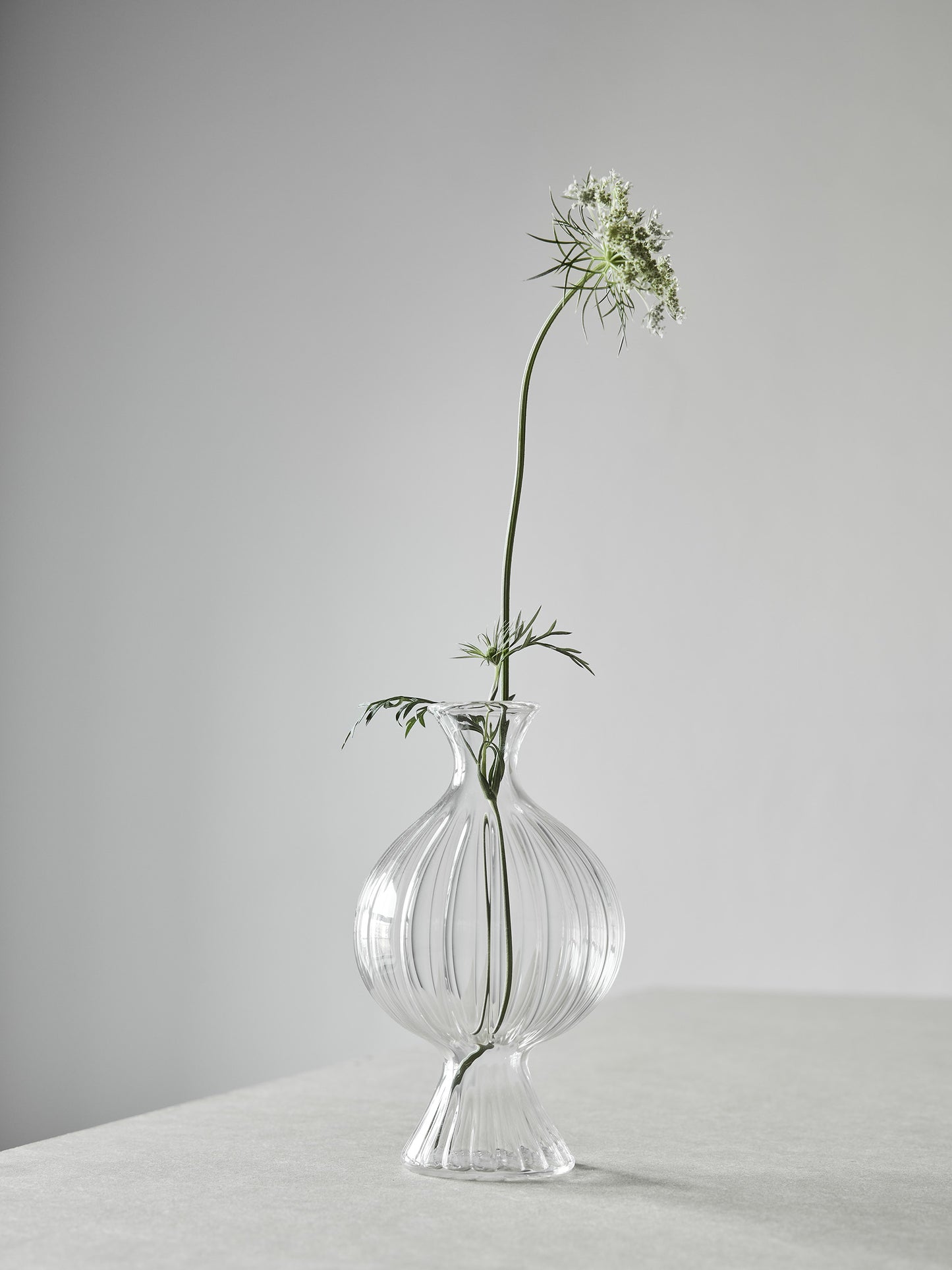 Como Ripple Vase - Medium