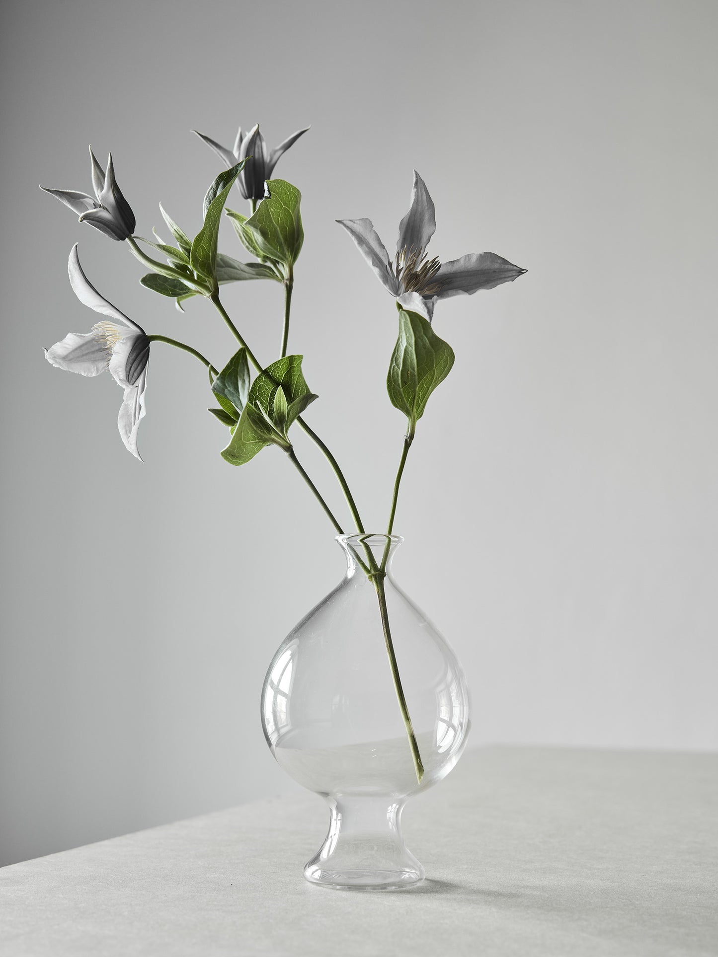 Como Vase - Medium