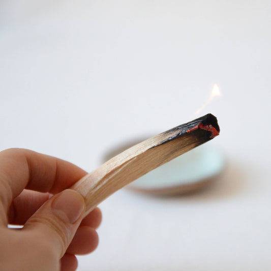 Palo Santo Sticks - Ecuador