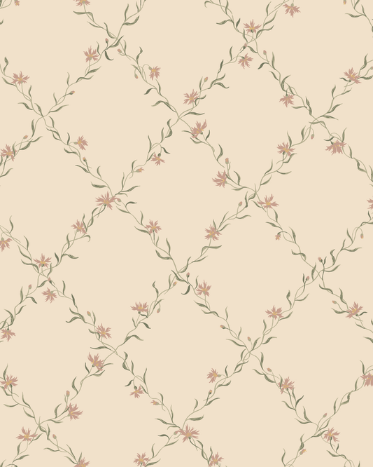 Ewa, Dusty Pink