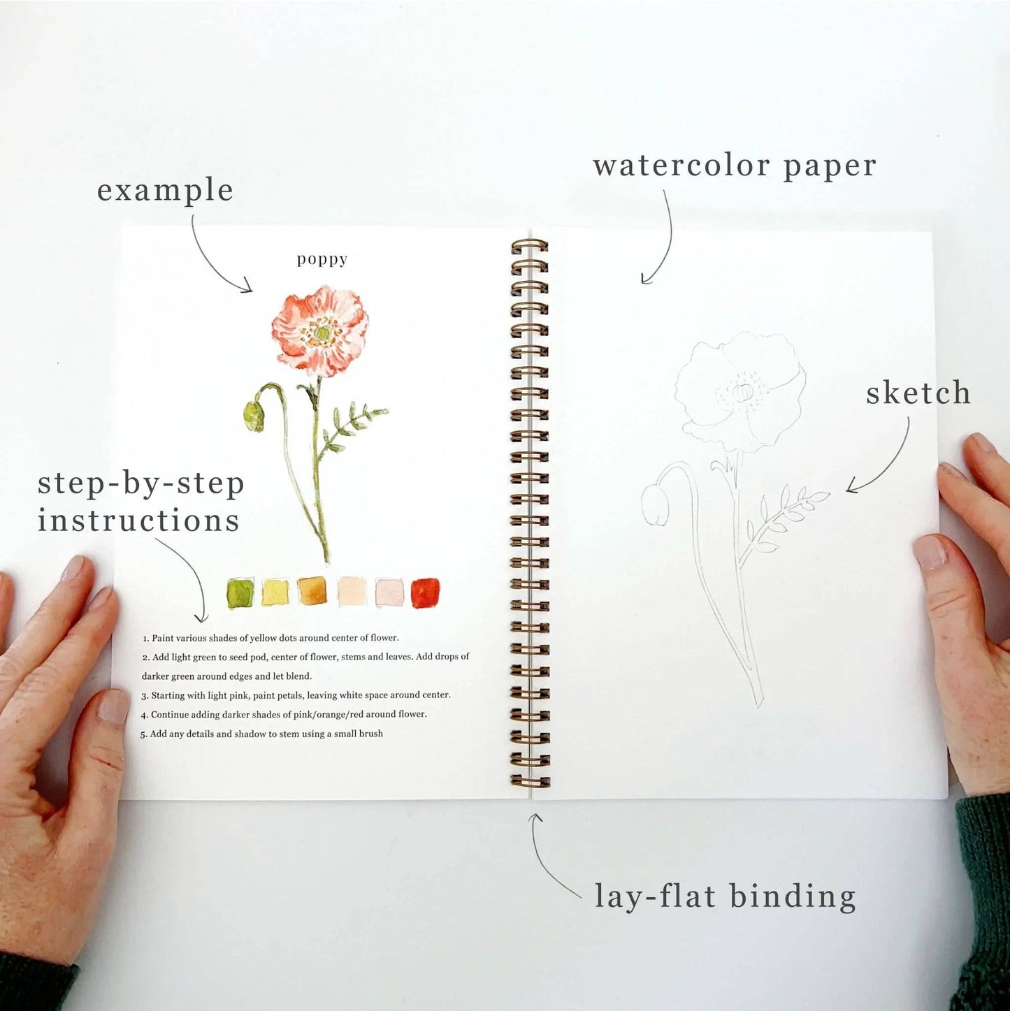 Flowers Watercolour Workbook