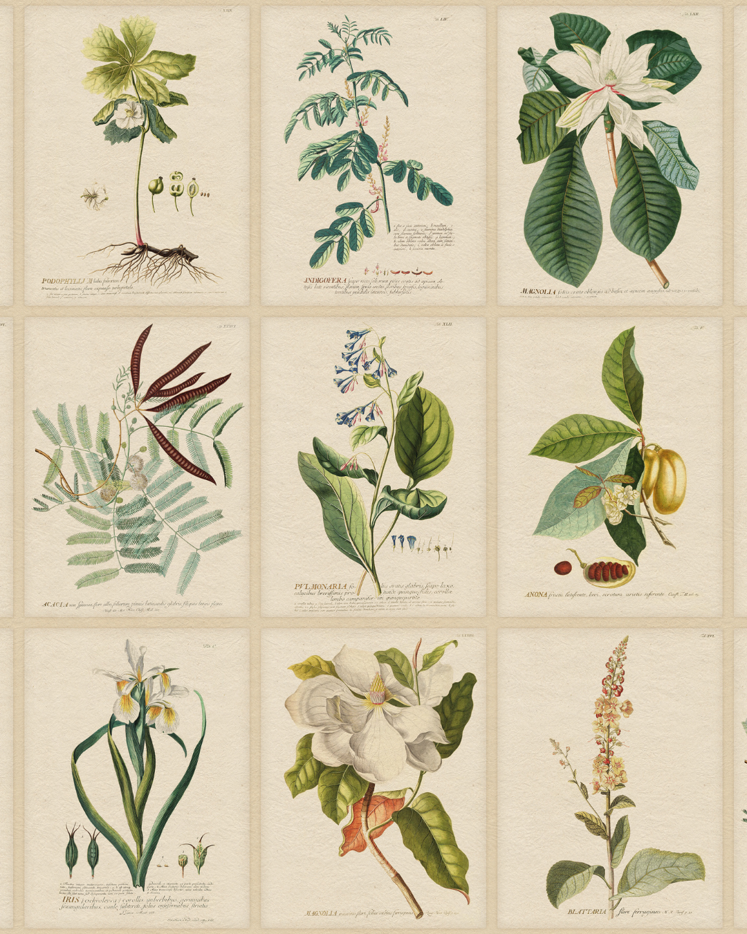 Flora Mural, Green