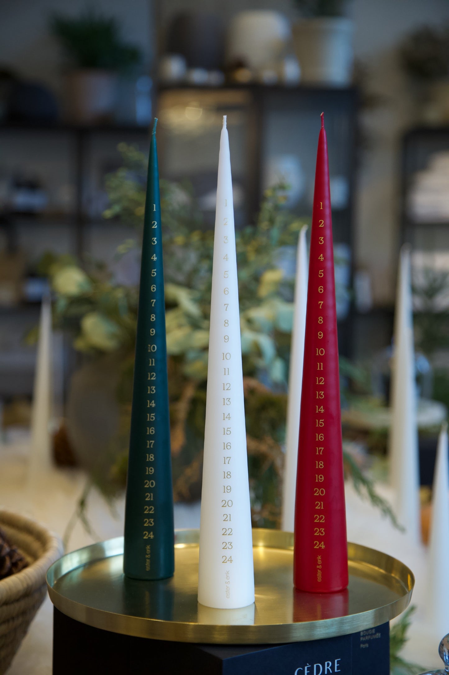 Advent Cone Candle