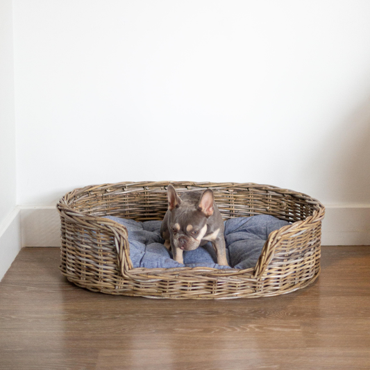Rattan Dog Bed
