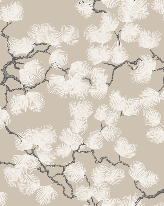Pine, Beige