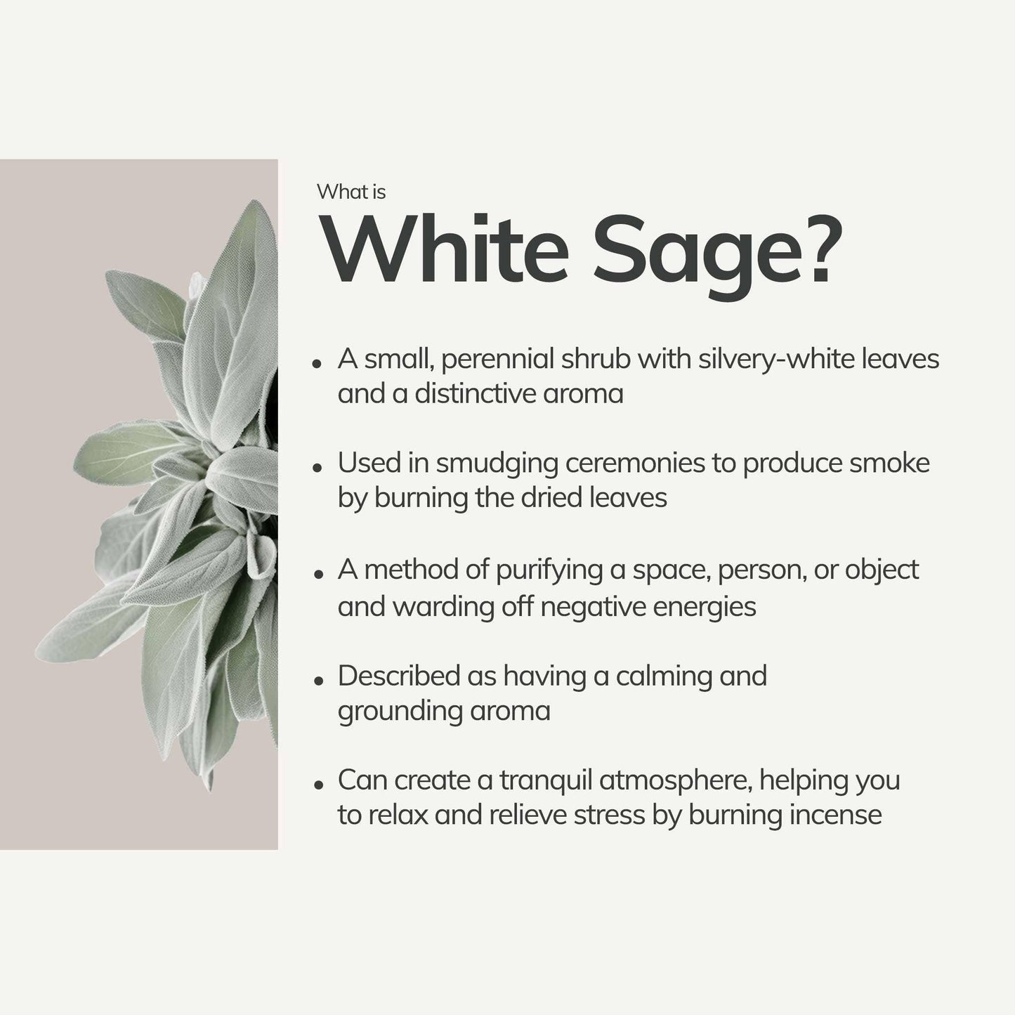 Mini White Sage Hand-Rolled Incense | 30 Sticks
