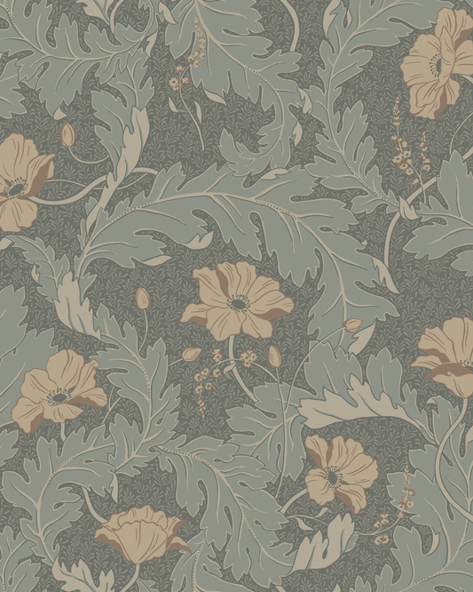 Charlotta, Forest Green