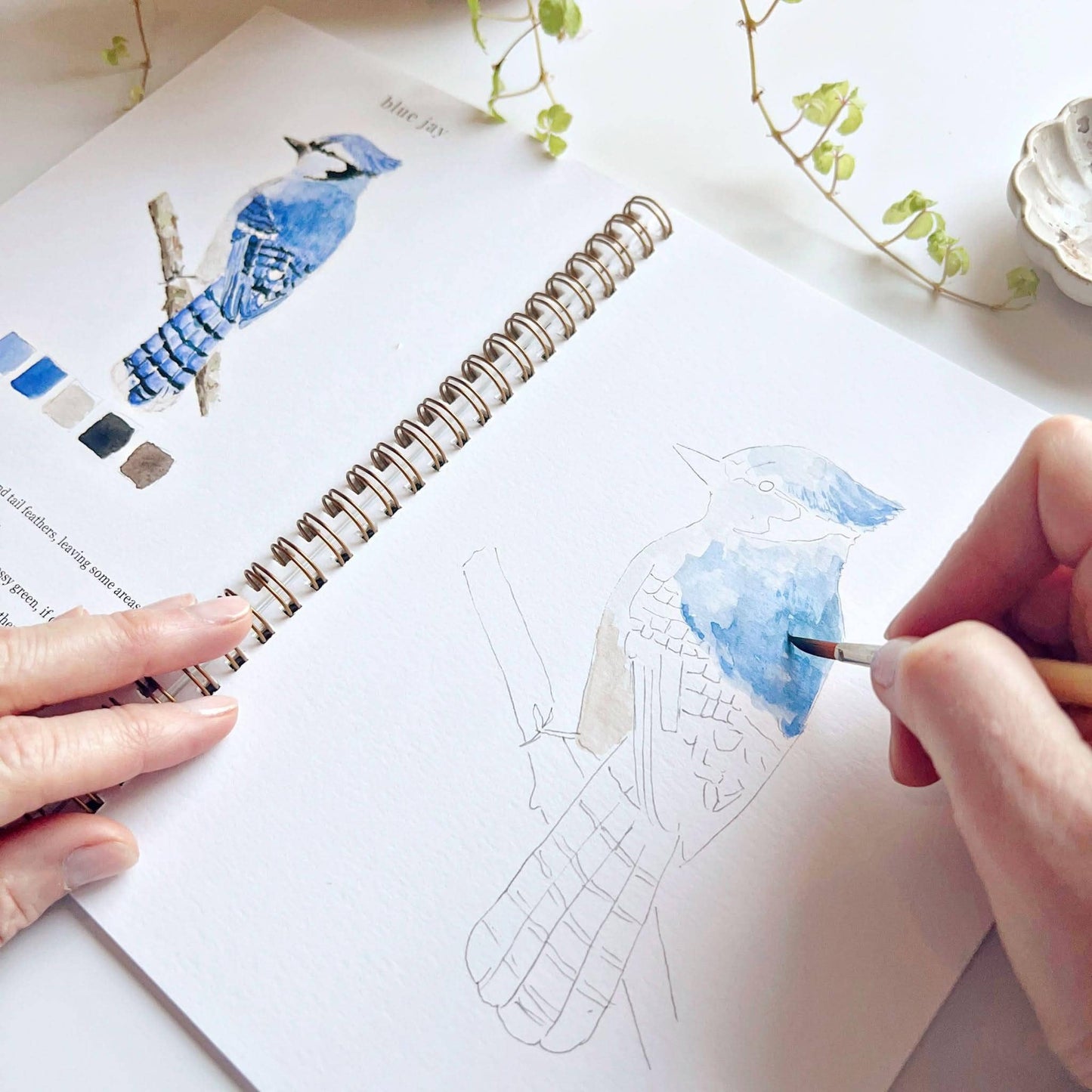 Birds Watercolour Workbook