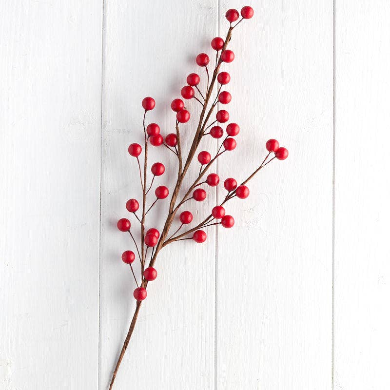 Red Berry Stem - 22''