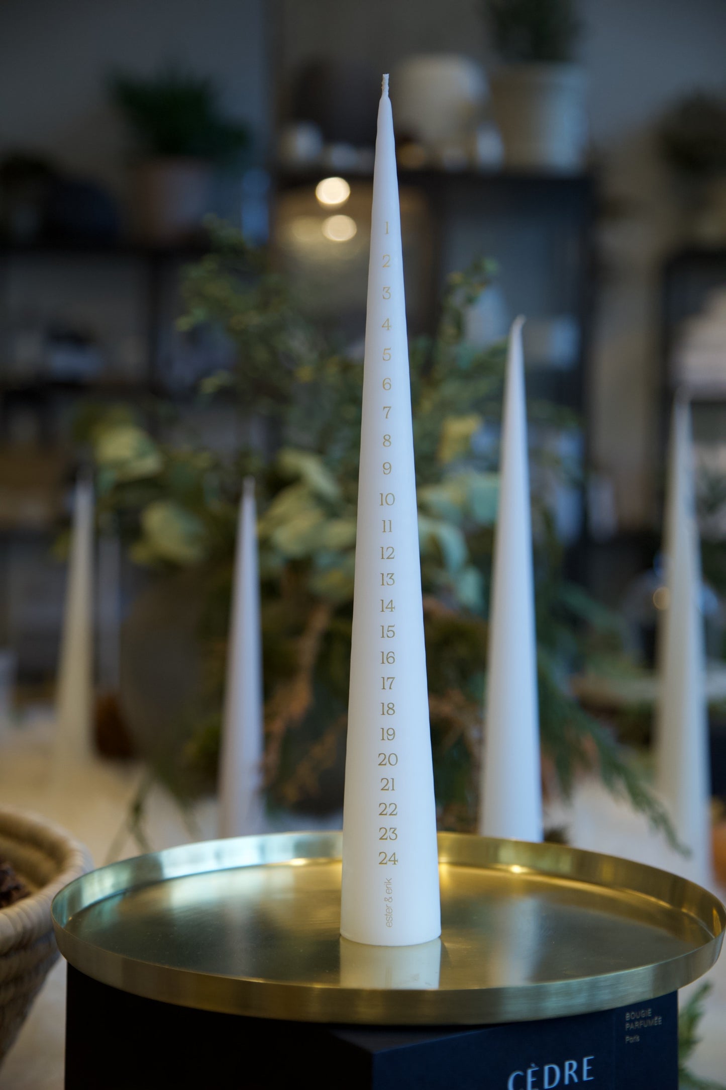 Advent Cone Candle