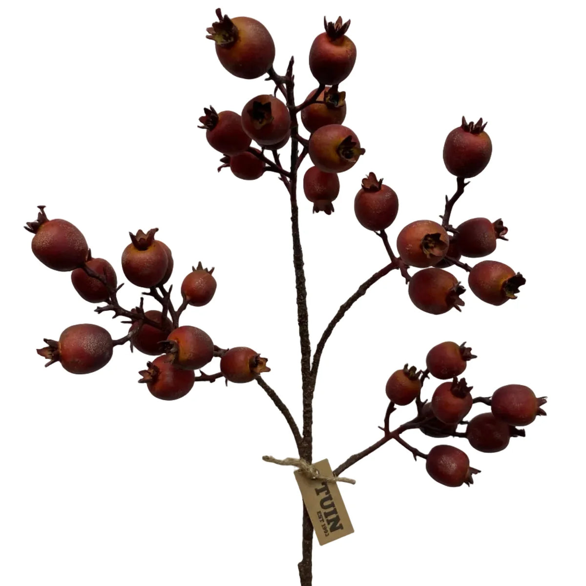 rosehip spray 29"