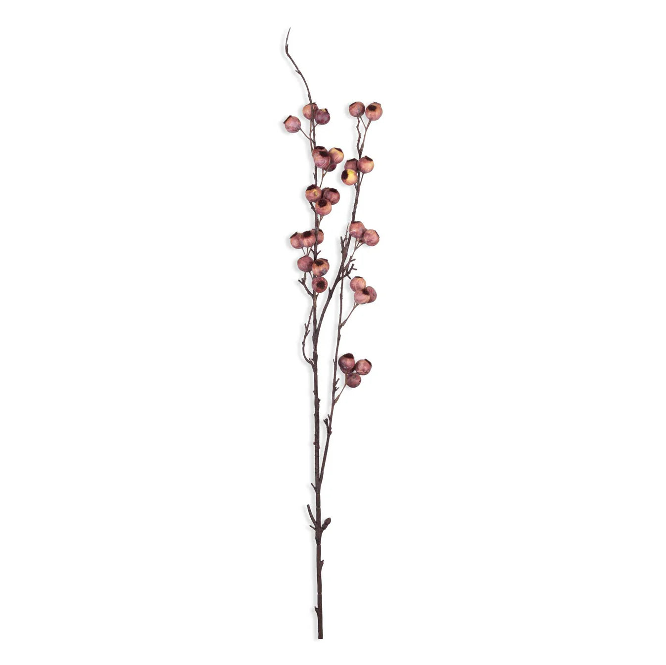 Hawthorn Branch - Pink