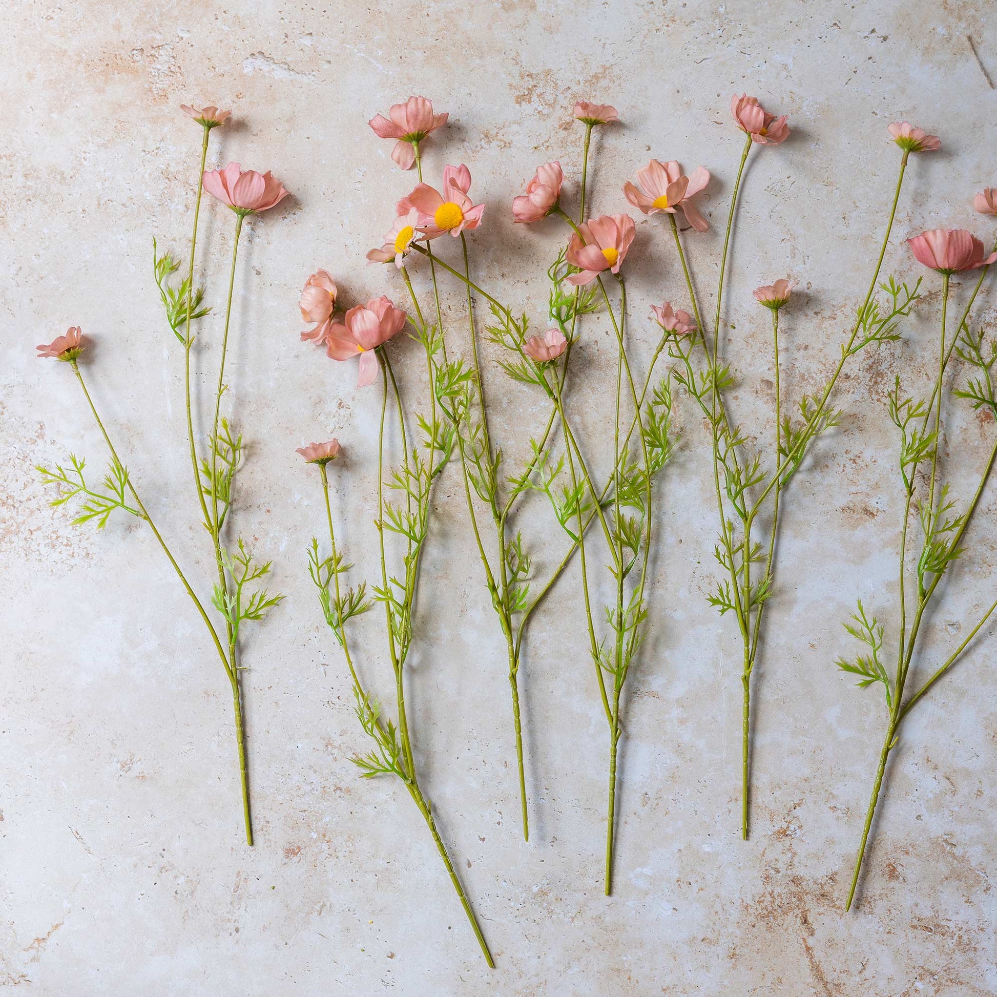 Pink flowers with green stems on a textured beige surface