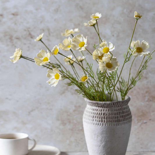 White vase with cosmos on a neutral background