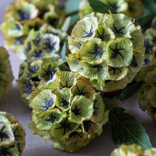 Close-up of green floral arrangement with detailed petals on a neutral background
