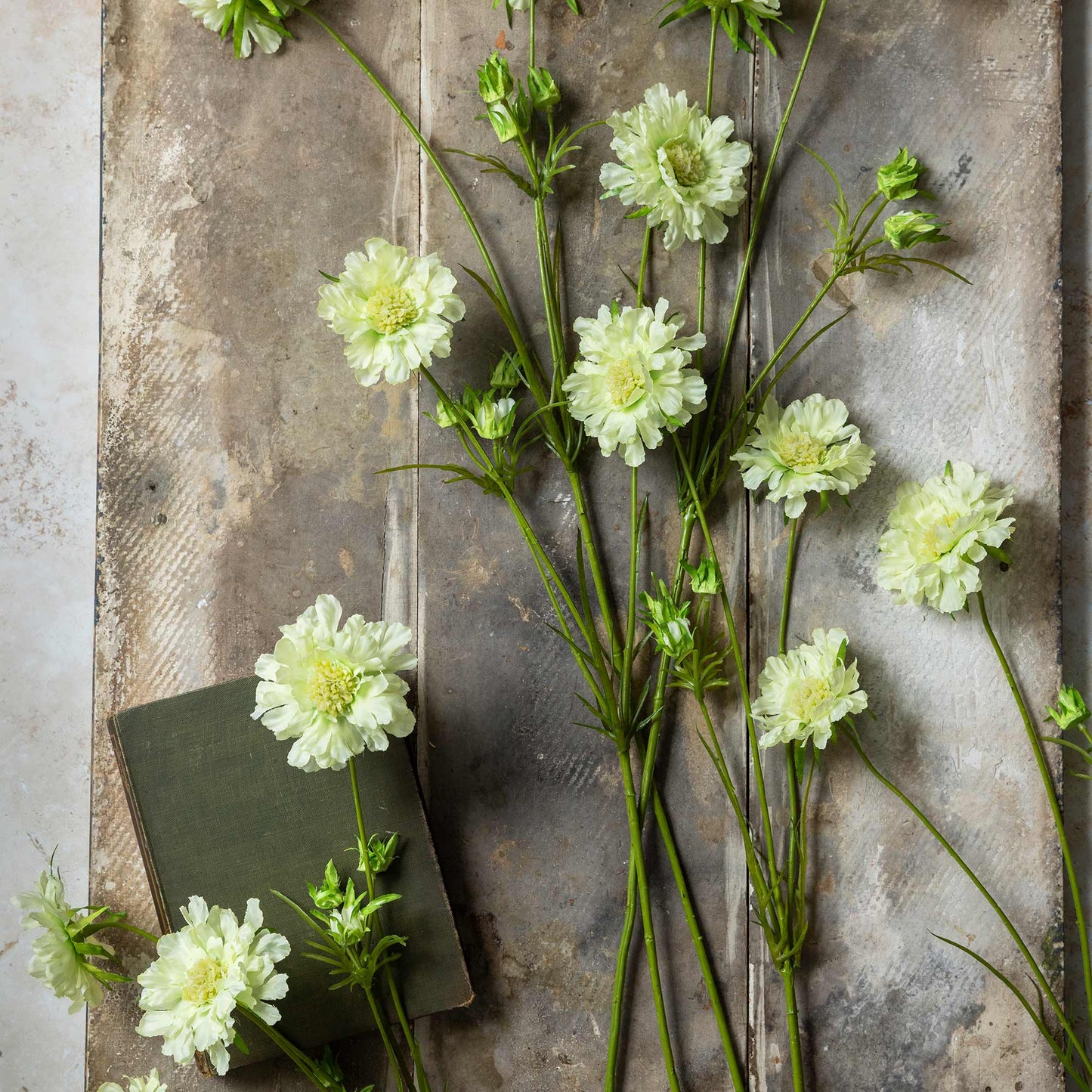 Green notebook with white flowers on a textured metal surface