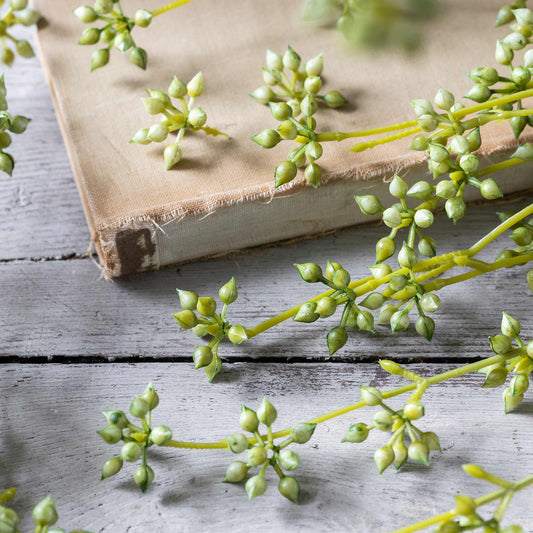 Green plant branches on an open book on a wooden surface