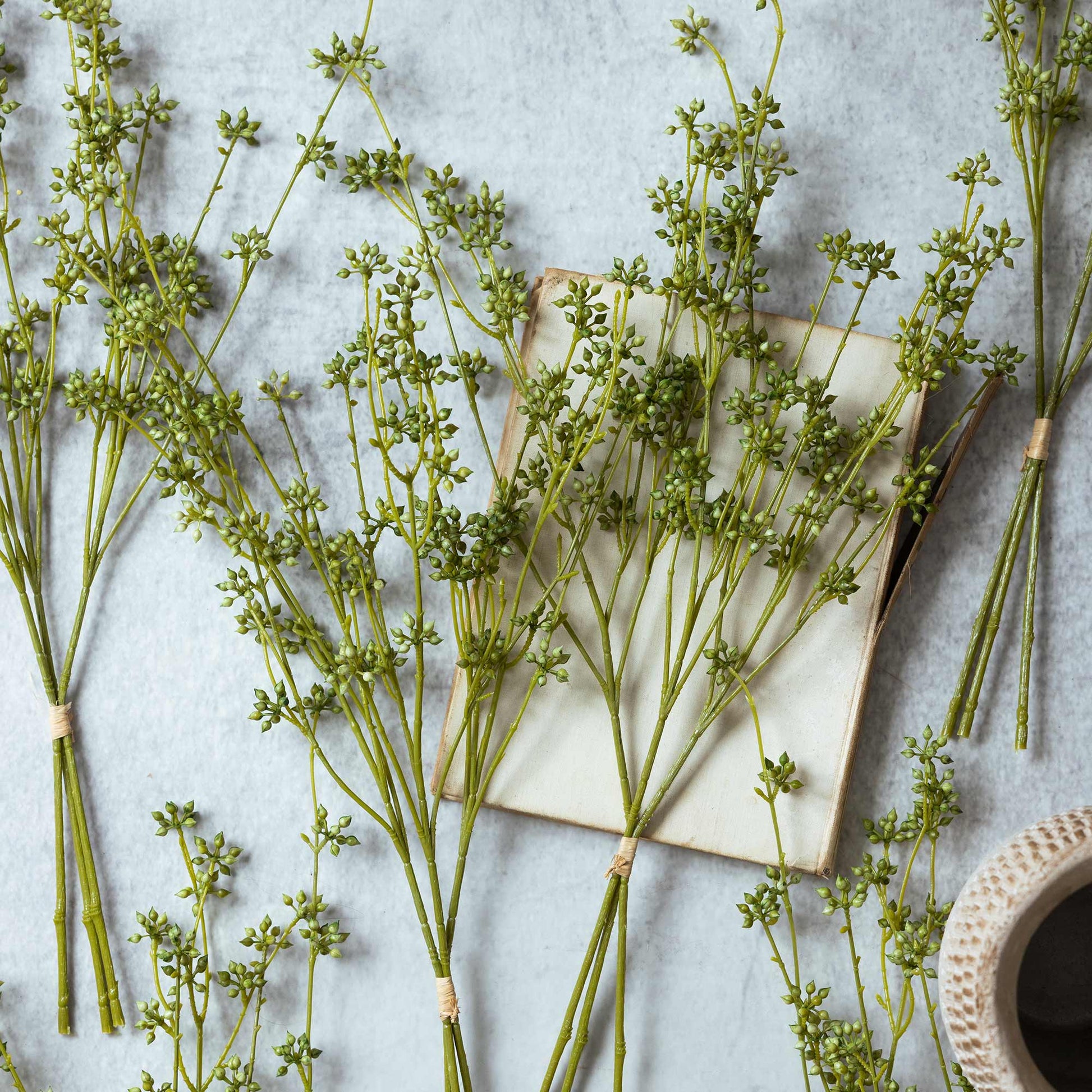 Green plants on a textured surface with a book and woven basket.