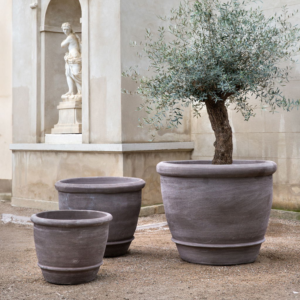 Campana