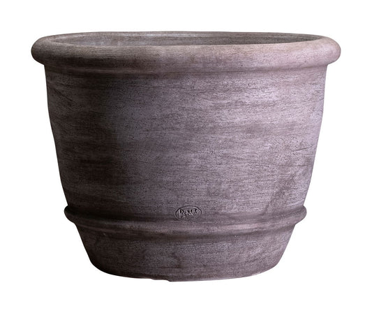 Campana