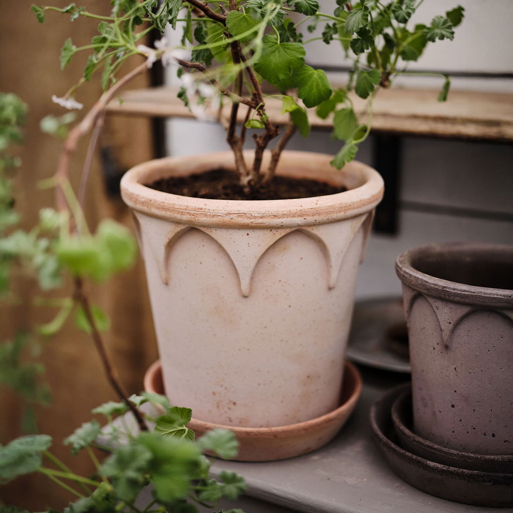 Elizabeth Pot