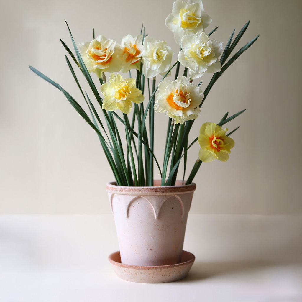 Elizabeth Pot