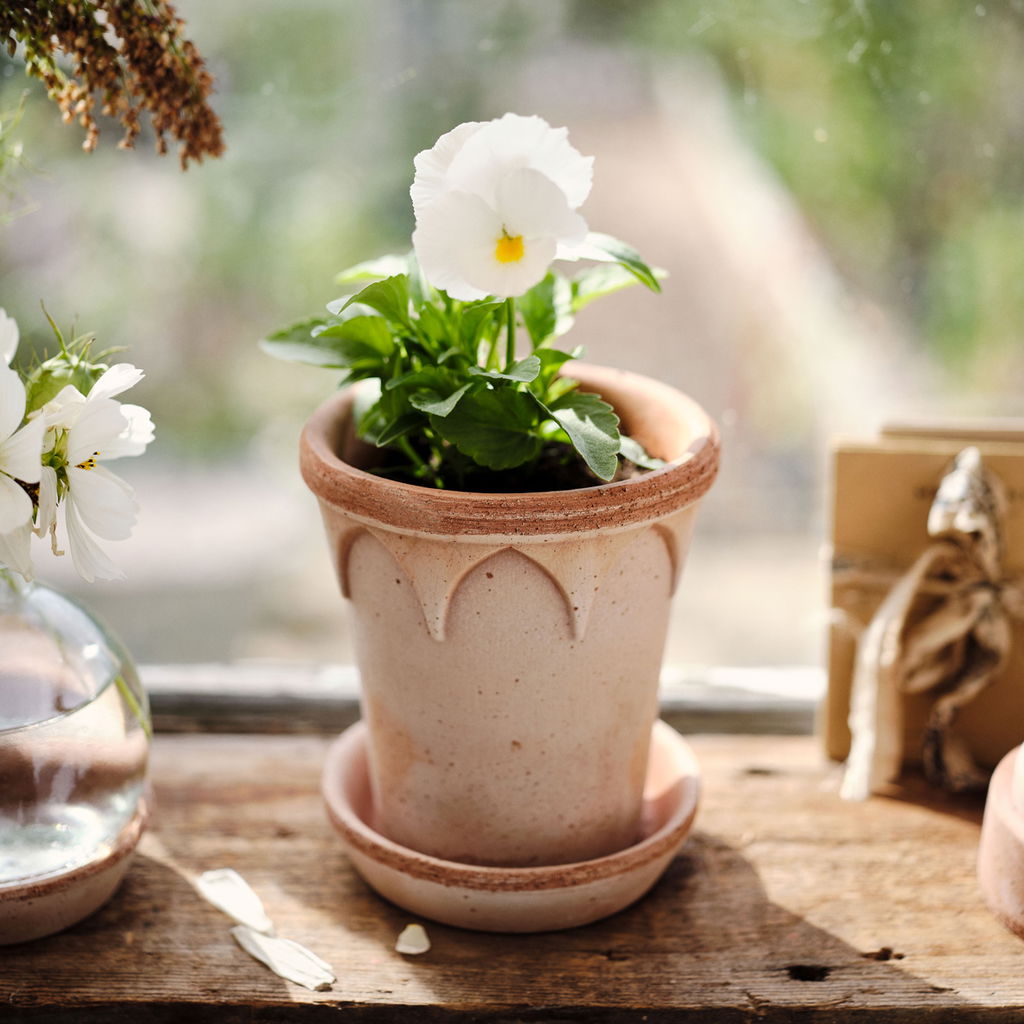 Elizabeth Pot