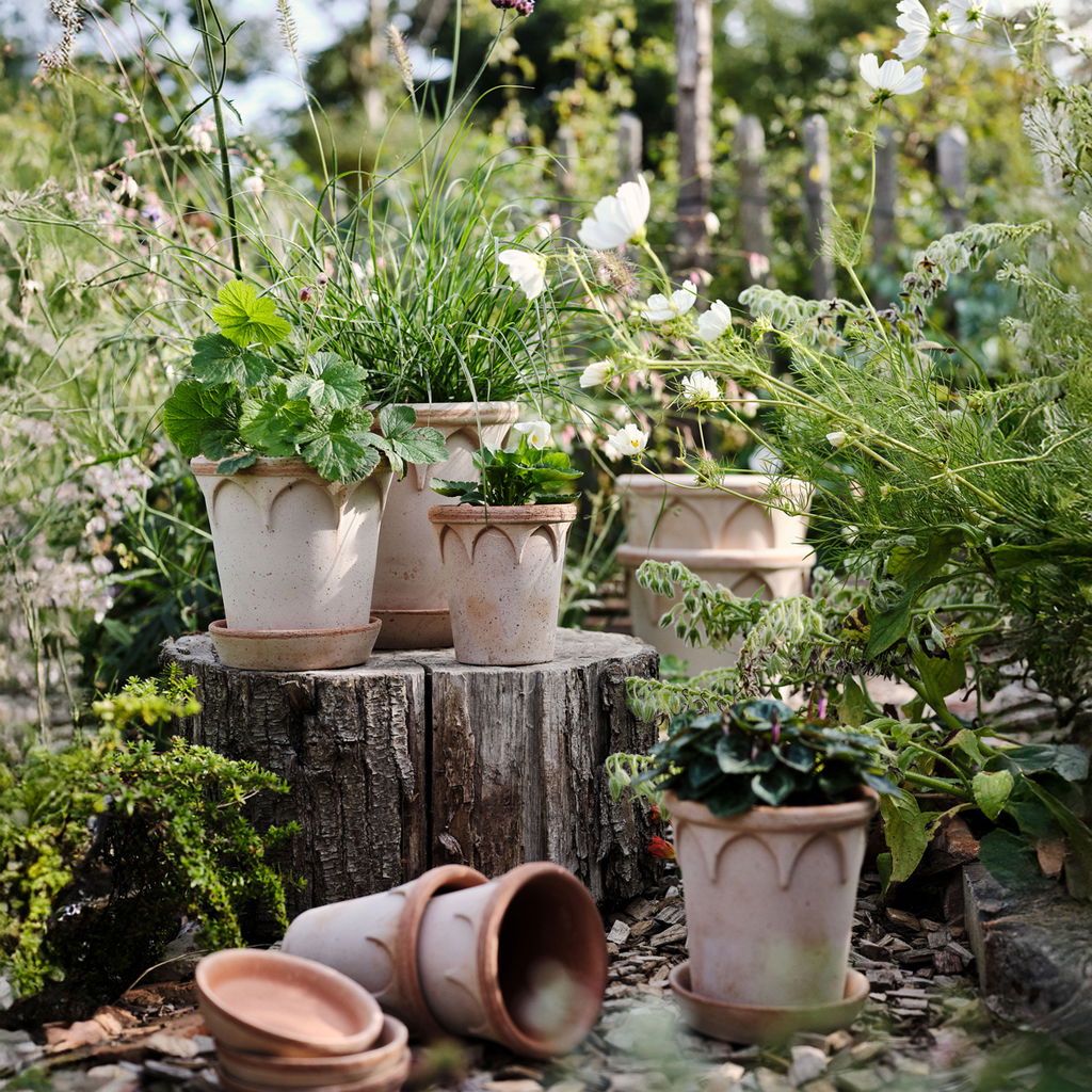 Elizabeth Pot