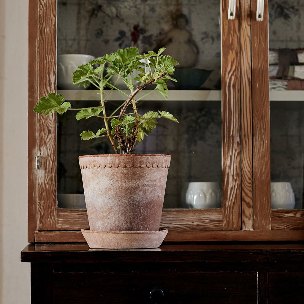 Helena Pot