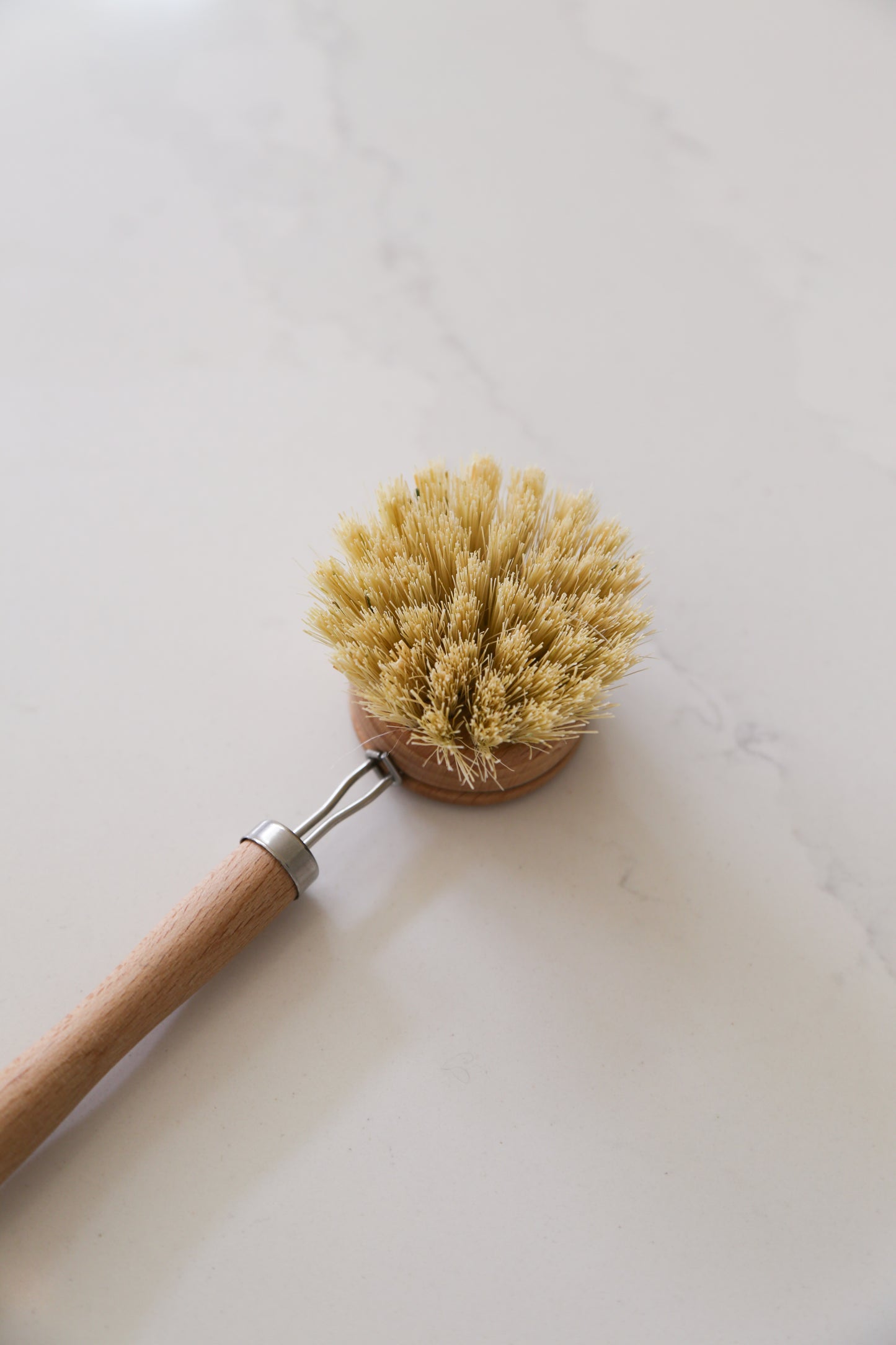 Dish Brush