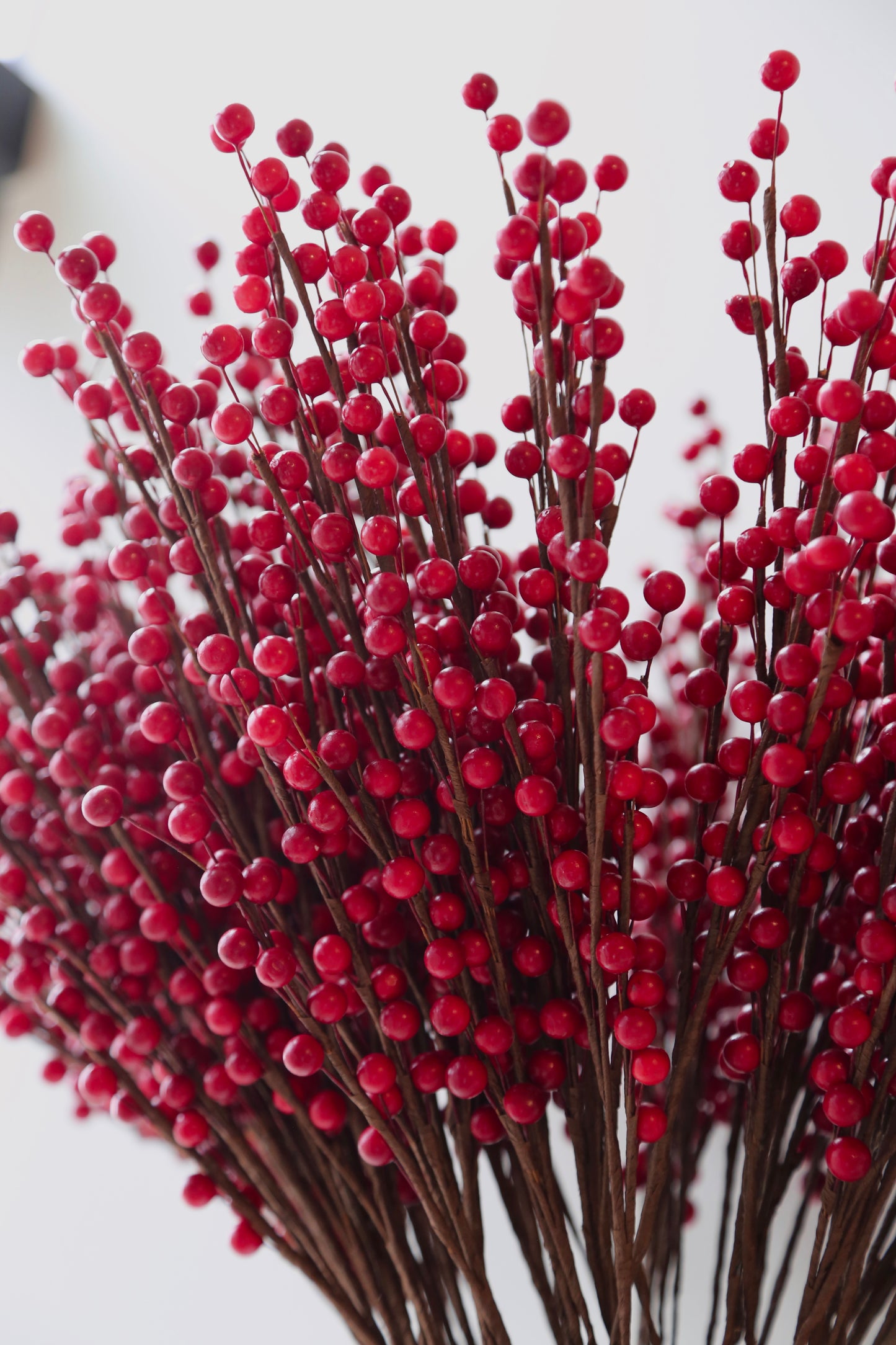 Red Berry Stem - 22''