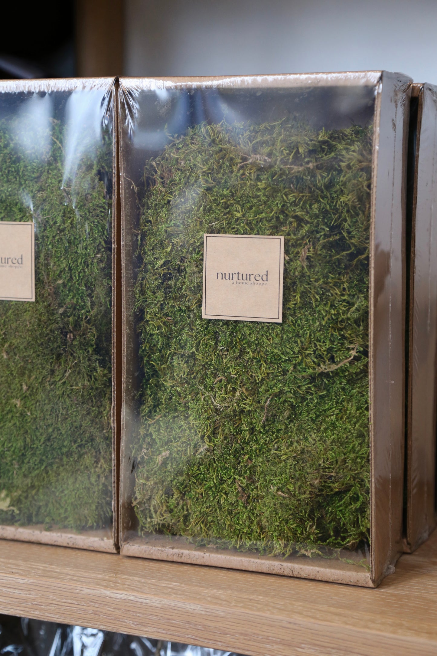 Preserved Sheet Moss