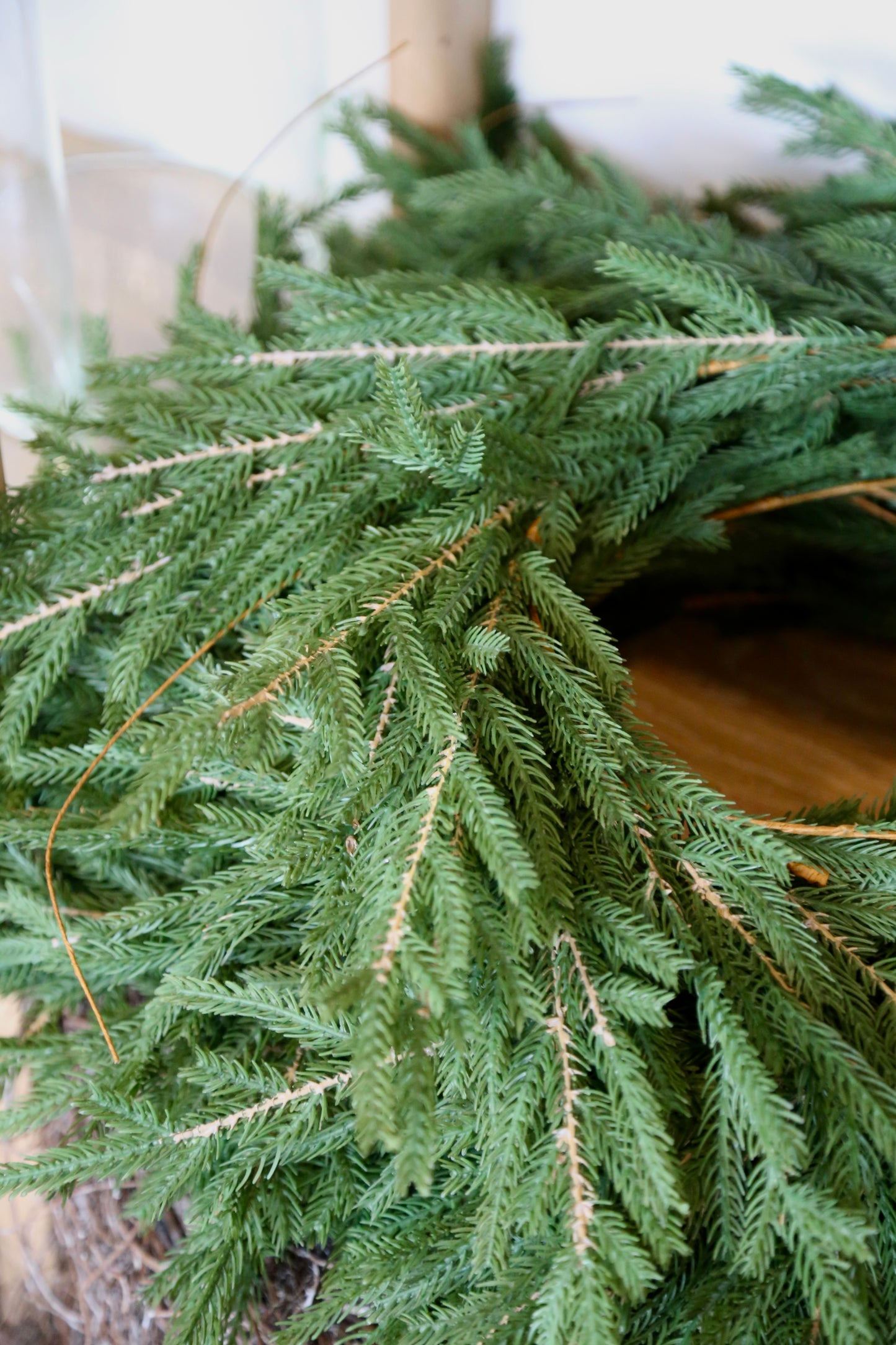 Norfolk Pine Garland 6'